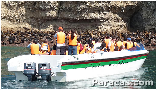 Turistas en las playas de Paracas