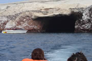 Tours en las Islas Ballestas