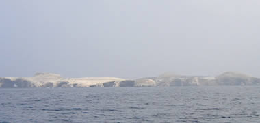 Islas Ballestas en Paracas
