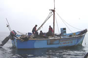 Pesca artesanal en el mar de Paracas Peru