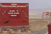Welcome to paracas
