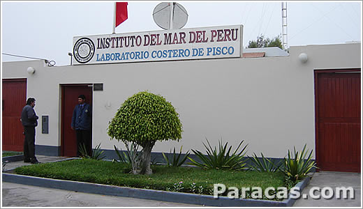 Instituto del mar de Perú