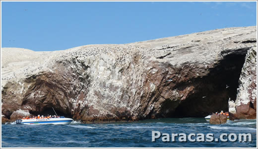 Tours en las Islas Ballestas