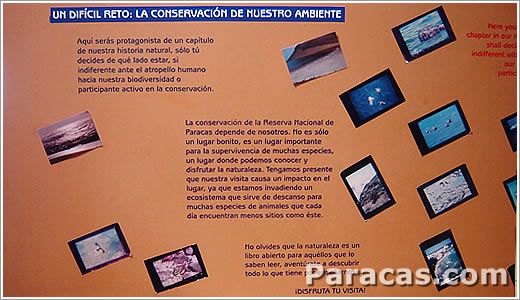 Paracas Museum Fotos