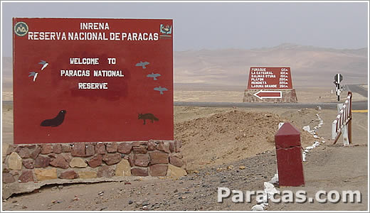 Willkommen in Paracas