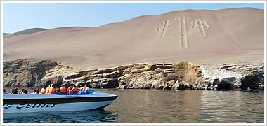 Tours en Paracas