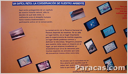 Fotos del museo Paracas