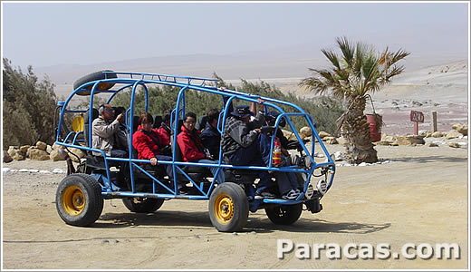 carros en los desiertos de Ica Peru